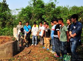 三月三可以掃墓嗎？三月三能掃墓嗎？