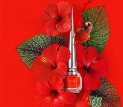 cl指甲油多少錢？cl紅底鞋指甲油專柜價(jià)格