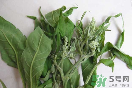 艾草可以泡腳嗎？艾葉泡腳的功效與作用