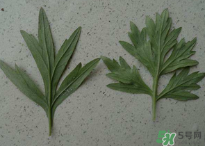 ?蒿子怎么去除苦味？?蒿子粑粑苦是什么原因？