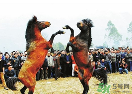 三月三有什么禁忌？三月三有什么講究？