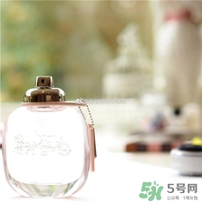 Coach同名香水好聞嗎?Coach同名香水香評(píng) Coach同名香水好聞嗎?Coach同名香水香評(píng)