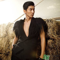 太平鳥是什么牌子？peacebird太平鳥是什么檔次？