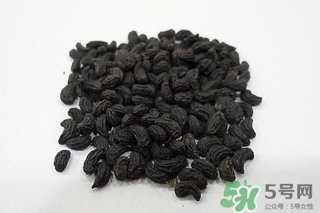 女貞子的營(yíng)養(yǎng)價(jià)值 女貞子的功效與作用 女貞子的營(yíng)養(yǎng)價(jià)值 女貞子的功效與作用