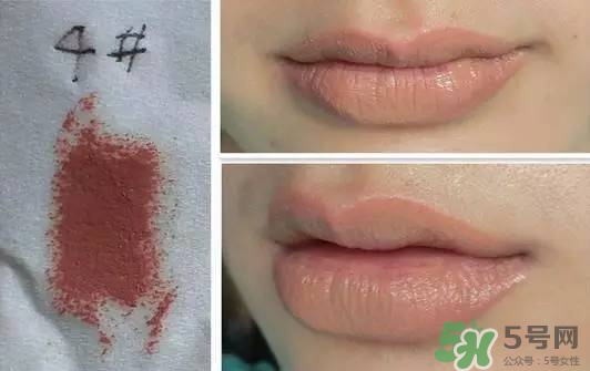 楊樹林口紅是什么牌子？楊樹林口紅是哪個國家的？