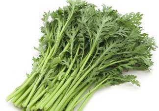 蒿子是發(fā)物嗎？蒿子是不是發(fā)物嗎？