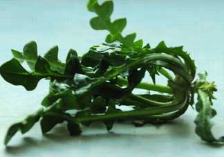 乙肝能吃薺菜嗎？乙肝病人可以吃薺菜嗎？