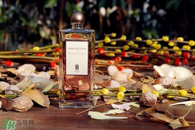 serge lutens蘆丹氏香水怎么用？蘆丹氏香水噴頭怎么按？