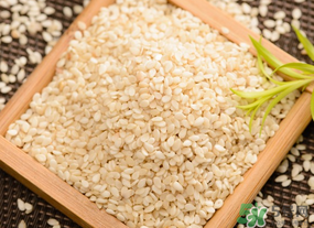 薺菜和芝麻能一起吃嗎？薺菜可以摻芝麻葉吃嗎？