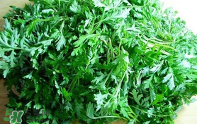 蒿子什么時(shí)候有？蒿子什么時(shí)候長？