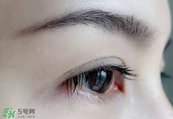 serge lutens蘆丹氏睫毛膏怎么樣？蘆丹氏睫毛膏好不好用？