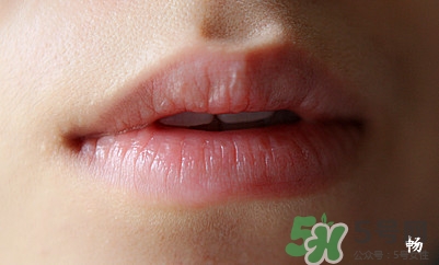 serge lutens蘆丹氏口紅怎么樣？蘆丹氏口紅是什么牌子