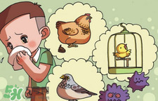 怎樣預(yù)防禽流感？如何預(yù)防禽流感