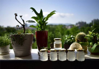 即食燕窩好嗎？即食燕窩和自己燉的哪種好？