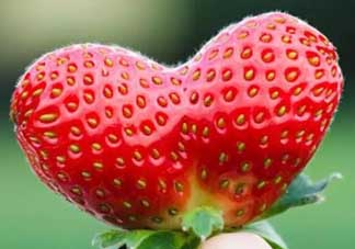 清明節(jié)還有草莓嗎？清明節(jié)的草莓能吃嗎？