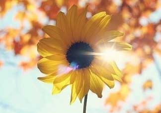 2017天氣什么時候回暖？2017什么時候升溫？