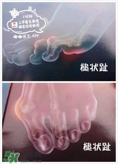 mini Melissa童鞋尺碼詳情 mini Melissa尺碼表對照