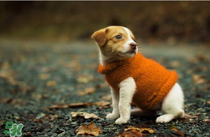 2017天氣什么時(shí)候回暖？2017什么時(shí)候升溫？