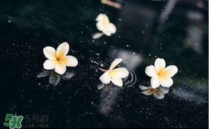 三月份為什么一直下雨？2017年三月份為什么雨多？