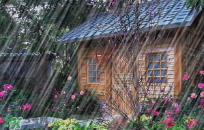 三月份為什么一直下雨？2017年三月份為什么雨多？