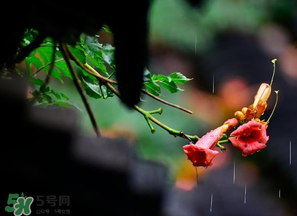 2017年梅雨季節(jié)是幾月？2017年梅雨季節(jié)是什么時(shí)候？