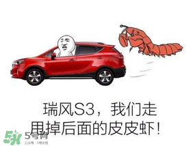 黃鱔為什么火了？黃鱔我們走為什么火了？