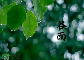 2017年谷雨是幾月幾號？2017年谷雨是哪一天？