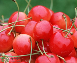 櫻桃什么品種最好吃？櫻桃哪個(gè)品種最好吃？