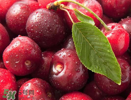 櫻桃什么品種最好吃？櫻桃哪個(gè)品種最好吃？
