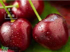 美早櫻桃多少錢一斤？美早櫻桃多少錢一斤2017？