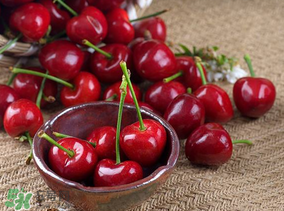 美早櫻桃多少錢一斤？美早櫻桃多少錢一斤2017？