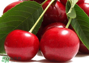山東櫻桃什么時候上市？山東櫻桃什么時候成熟？