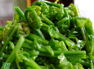 蕨菜什么人不能吃？哪些人不能吃蕨菜？