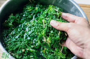 薺菜怎么腌制？薺菜的腌制方法