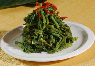 蕨菜什么人不能吃？哪些人不能吃蕨菜？