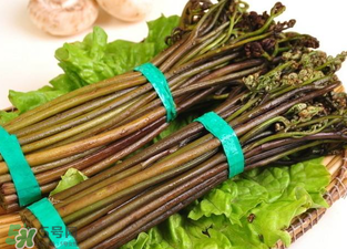 水蕨菜和山蕨菜哪個(gè)致癌？水蕨菜致癌是真的嗎？