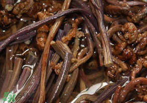 蕨菜能吃嗎？蕨菜可以吃嗎？