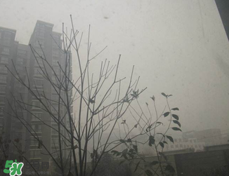 霧霾對孕婦有什么危害？霧霾對胎兒有影響嗎？