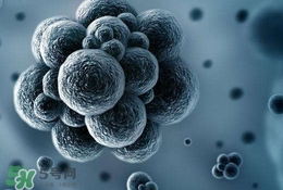 庫波熱病毒是什么?庫波熱病毒有什么癥狀? 庫波熱病毒是什么?庫波熱病毒有什么癥狀?