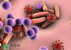 庫波熱病毒是什么?庫波熱病毒有什么癥狀? 庫波熱病毒是什么?庫波熱病毒有什么癥狀?