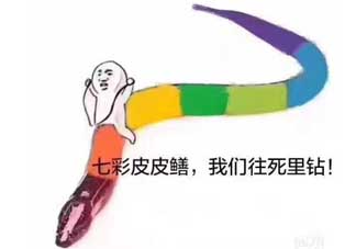 七彩皮皮鱔我們往死里鉆是什么意思？七彩皮皮鱔我們?nèi)€(gè)好地方是什么意思？