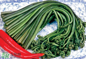 蕨菜有毒嗎？吃蕨菜會中毒嗎？