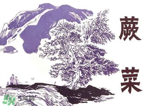吃蕨菜會(huì)過(guò)敏嗎？皮膚過(guò)敏能吃蕨菜嗎？