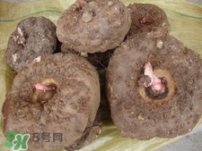 魔芋什么味道？怎么去除魔芋味道？