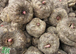 魔芋什么味道？怎么去除魔芋味道？