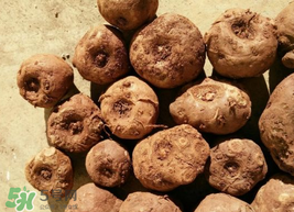 魔芋什么人不能吃？魔芋哪些人不能吃？