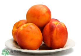 黃桃為什么那么貴？黃桃為什么這么貴？