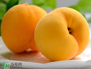 黃桃為什么那么貴？黃桃為什么這么貴？