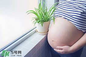 孕婦可以做美甲嗎？美甲對孕婦有什么影響？