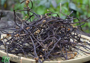 干蕨菜致癌嗎？干蕨菜致癌是真的嗎？